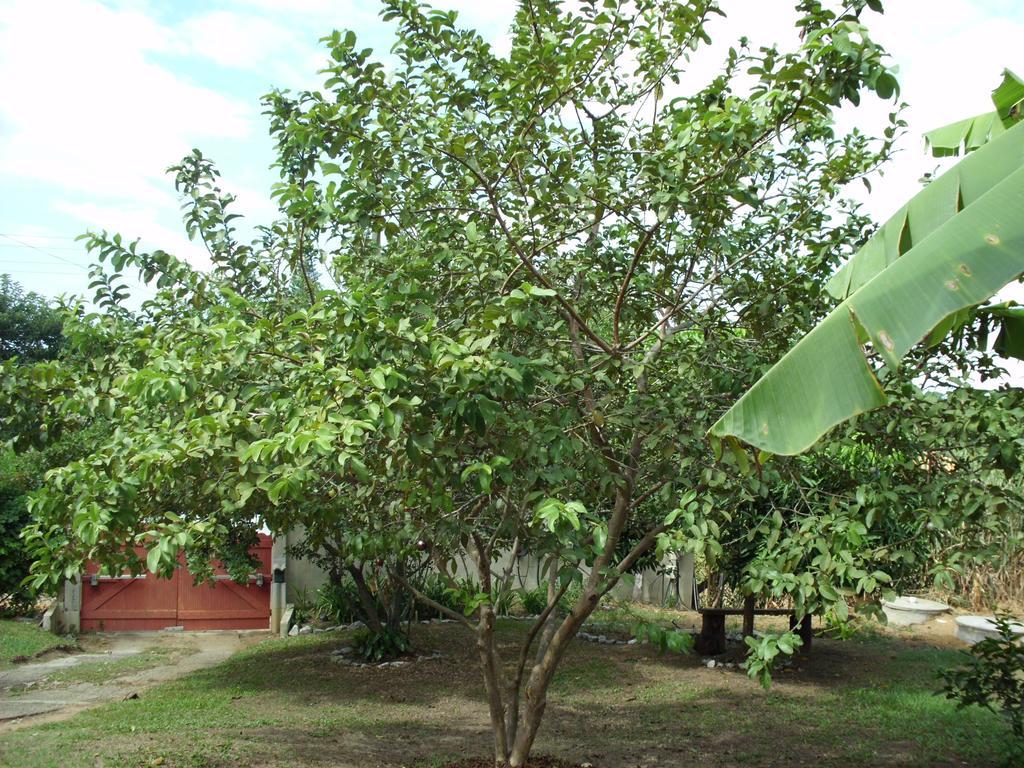 Pousada Pimenta Rosa Saquarema Exterior foto